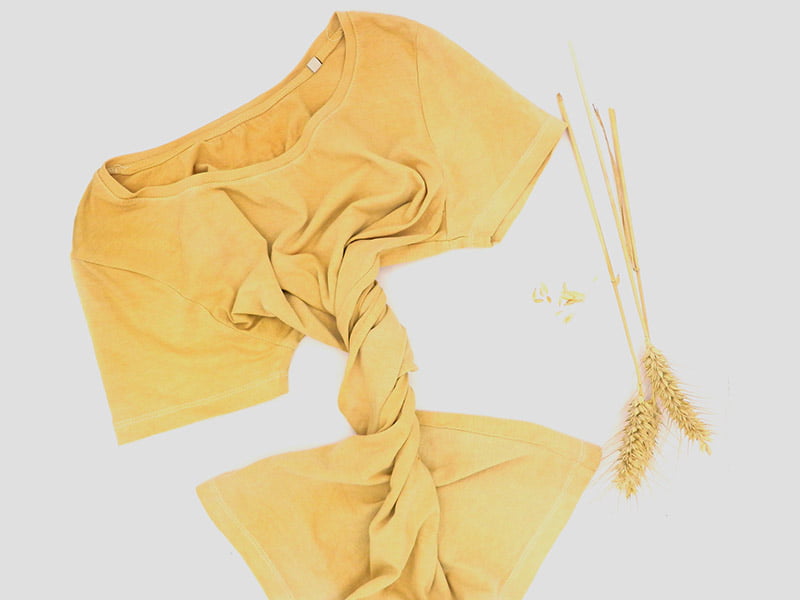 Colección La Siega, representa la vida